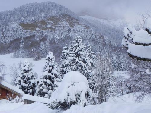 Hotel H�tel Des Skieurs