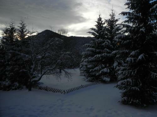 Hotel H�tel Des Skieurs