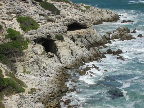 Apartamento Whale Watch Accommodation
