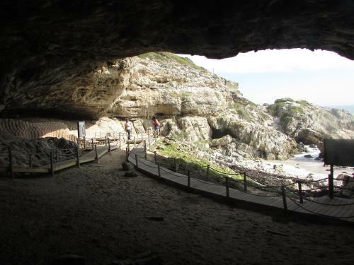 Apartamento Whale Watch Accommodation