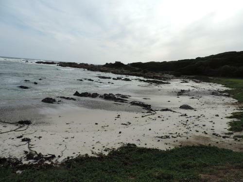 Bed & Breakfast Wave Dancer