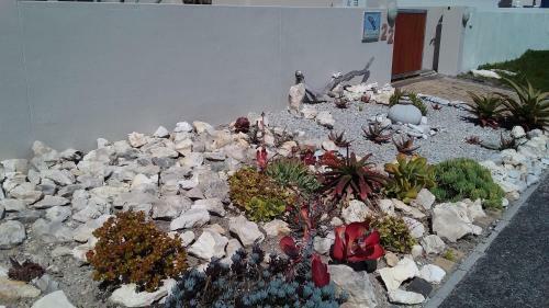 Bed & Breakfast Wave Dancer