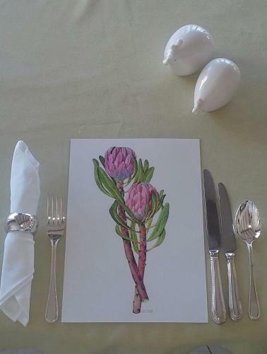 Bed & Breakfast Wave Dancer