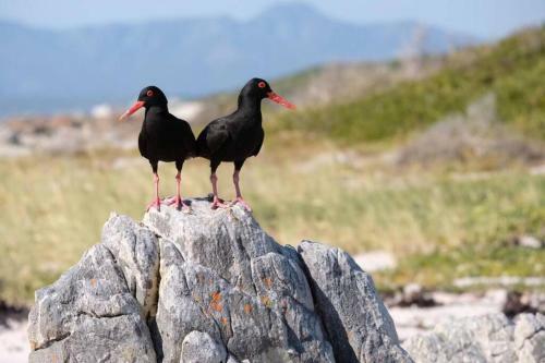 402 In Romansbaai