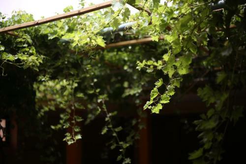 Bed & Breakfast Auberge Jaafar