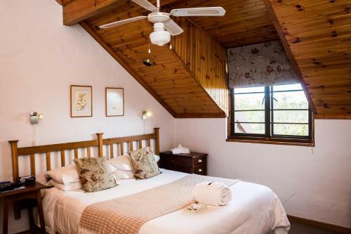 Hostal Jenny's Guest House