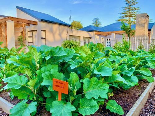 Hostal Lorelei Guest House