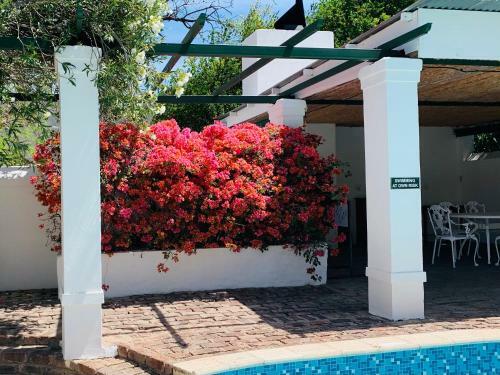 Bed & Breakfast De Wingerd B & B