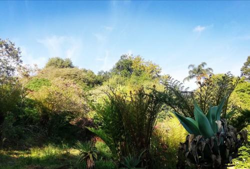 Chosen Glamping Tents