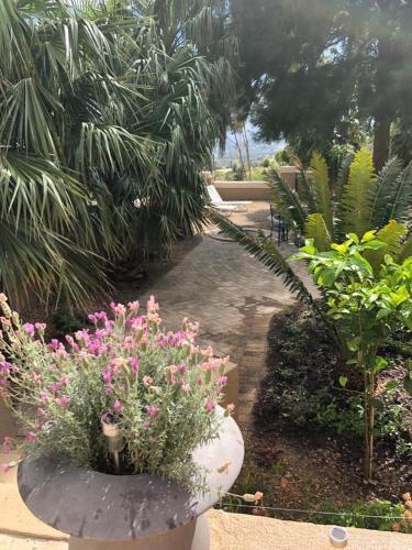 Hostal Flavours At 34