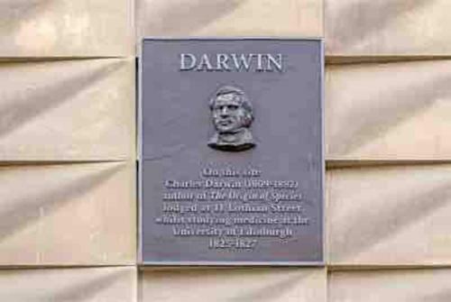 Apartamento Delightful Sunny Flat