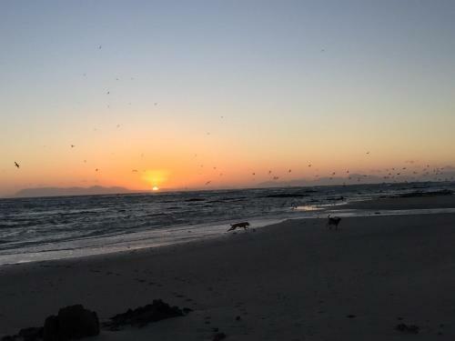 Apartamento 14 Chapman Avenue Flat With Ocean View