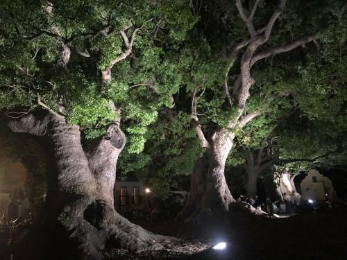 Apartamento 14 Chapman Avenue Flat With Ocean View