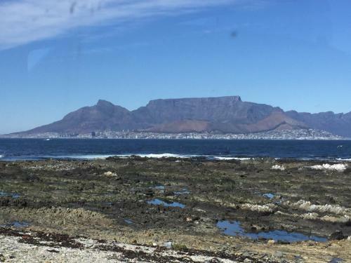 Apartamento 14 Chapman Avenue Flat With Ocean View