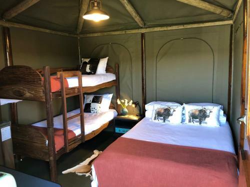 Hostal Wolwedans Guest Manor