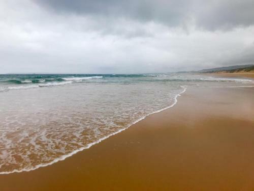 Apartamento Dolphin's Nook