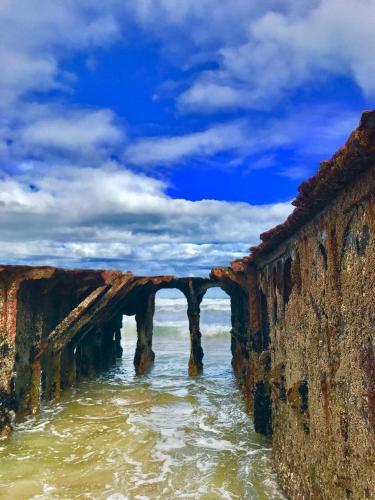 Apartamento Dolphin's Nook