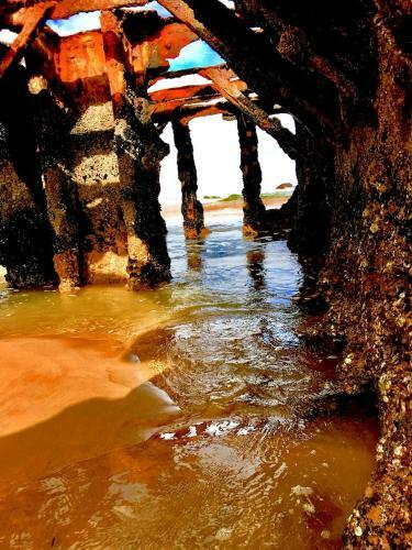 Apartamento Dolphin's Nook