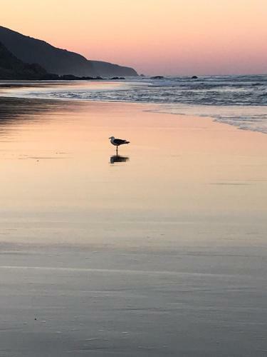 Apartamento Dolphin's Nook