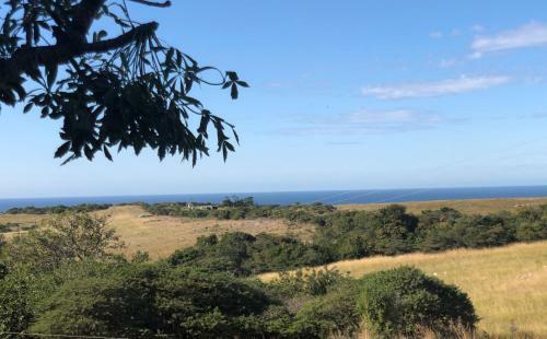 Hadada Self Catering Studio