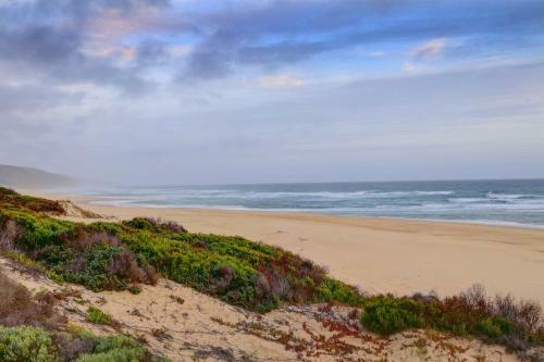 Beach House 11b