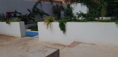 Prive Kamer Met Tuin En Zwembad 2p