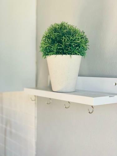 Apartamento Monte Vista