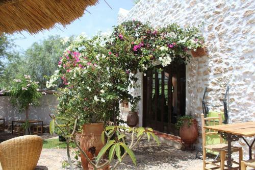 Hostal Riad Sanam Essaouira