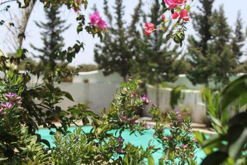 Hostal Riad Sanam Essaouira