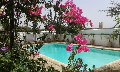 Hostal Riad Sanam Essaouira