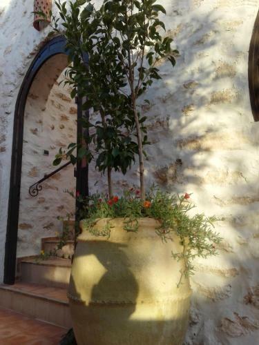 Hostal Riad Sanam Essaouira