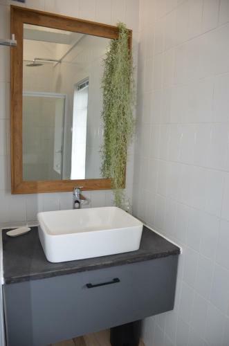 Apartamento Kiekiebos Guest Farm