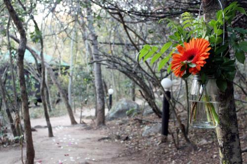 Hostal Thulamela Couples Retreat