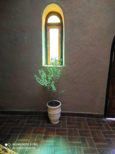 Apartamento Casa Mona