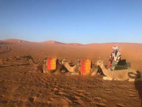 Merzouga Best Luxury Camps