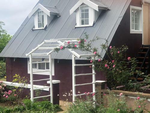 Hostal Drewry Lane