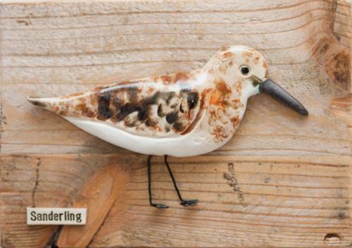 Kinbrae House Holiday Apartments