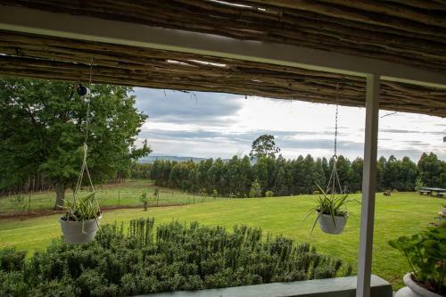 Miracle Mountain Cottage