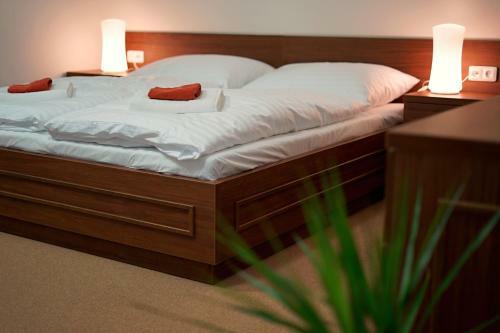 Hostal Z�meck� Penzion