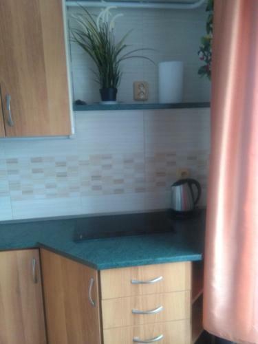 Apartamento Penzion Ivana