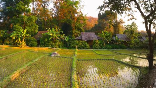 Hotel Fern Resort Mae Hong Son