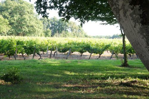Bed & Breakfast Ch�teau De La Chaise