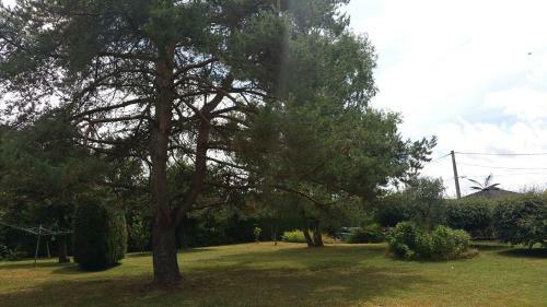 Bed & Breakfast Chambres Et G�te Take Off