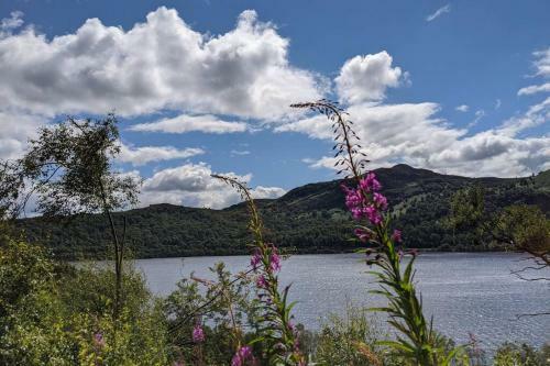Rowan Cottage, Crannachcottages