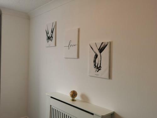 Glasgow Apartment Cozy And Ultramodern
