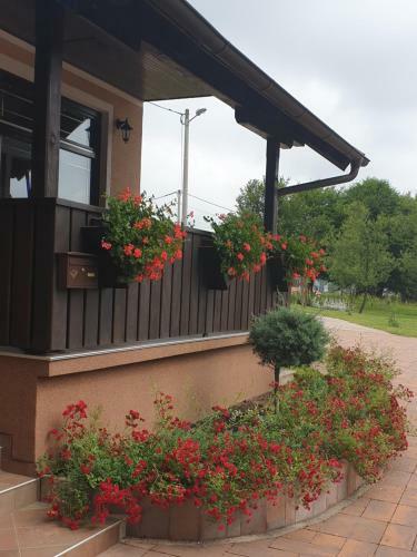 Hostal Guest Accommodation Marko Kesi?
