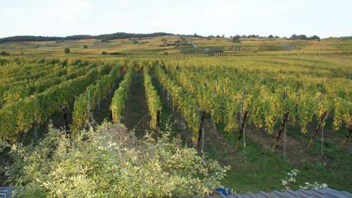 Bed & Breakfast Chambre D'hotes Le Vogelgarten