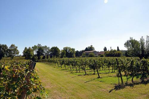 Agroturismo Azienda Agrituristica Armea