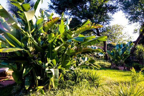Hostal The Exclusive Guesthouse