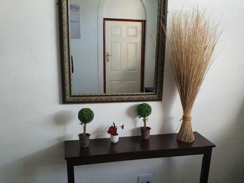 Hostal Rose Villa